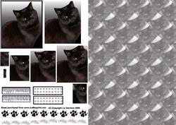 Black Cat Portrait Pyramid with Background