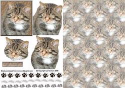 Tabby Cat Portrait 3D Decoupage with Background