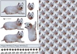 Westie Laying Down 3D Decoupage with Background