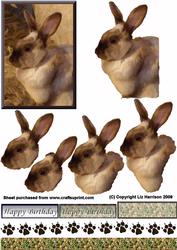 Chocolate Bunny 3D Decoupage