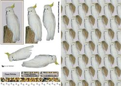 Cockatoo 3D Decoupage with Background