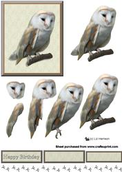 Barn Owl 3D Decoupage