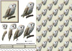 Barn Owl 3D Decoupage with Background