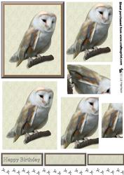 Barn Owl Pyramid
