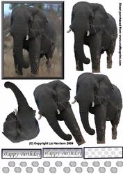 African Elephant1 3D Decoupage
