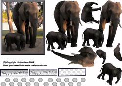 African Elephant & Baby 3D Decoupage