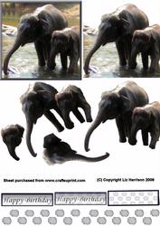 Indian Elephants Bathing 3D Decoupage