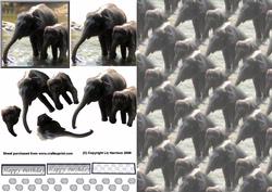 Indian Elephants Bathing 3D Decoupage with Background