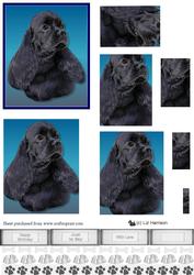 American Cocker Black Spaniel Pyramid