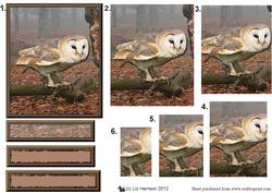 Barn Owl Woodland Scene Pyramid
