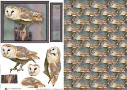 Barn Owl 3D Decoupage & Background Sheet