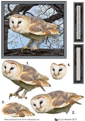Barn Owl Tree Scene 3D Decoupage