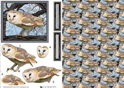 Barn Owl Tree Scene 3D Decoupage & Background