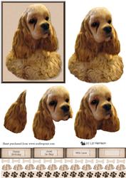 American Cocker Golden Spaniel 3D Decoupage