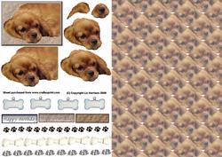 Cavalier King Charles Spaniel 3D Decoupage with Background