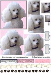 Poodle Pyramid