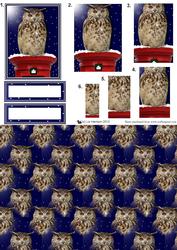 Eagle Owl Christmas Post Box Pyramid & Background