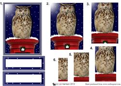 Eagle Owl Christmas Post Box Pyramid