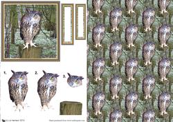 Eagle Owl 3D Decoupage with Background