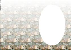 Barn Owl Woodland Scene Insert
