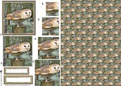 Barn Owl Woodland Pyramid with Background