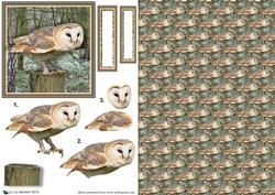 Barn Owl 3D Decoupage Woodland & Background