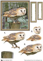 Barn Owl Woodland Scene 3D Decoupage