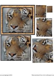 Tiger Head Pyramid