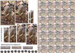Meerkat Pyramid with Background
