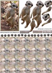 Meerkat 3D Decoupage with Background