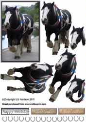 Barge Horse 3D Decoupage