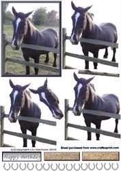 Black Horse 3D Decoupage