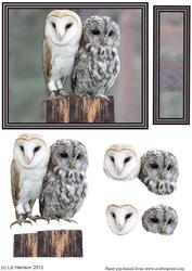 Barn & Tawny Owl 3D Decoupage