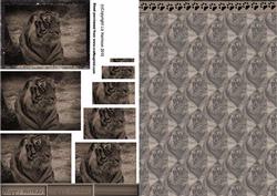Tiger Vintage Style Pyramid with Background