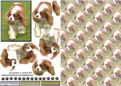 Cavalier King Charles Spaniel Walking 3D Decoupage with Background
