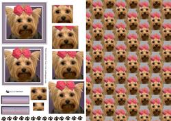 Yorkshire Terrier Pyramid with Background