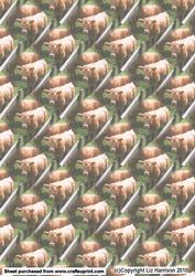 Highland Cow & Calf Background