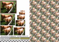 Highland Cow & Calf Pyramid with Background