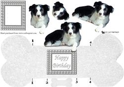 Border Collie Bone Shaped Card