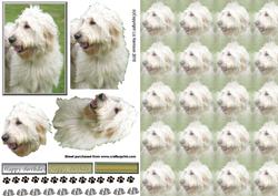 Labradoodle 3D Decoupage with Background