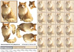 Fluffy Ginger Cat Sat 3D Decoupage with Background