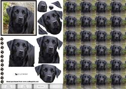 Black Labrador Portrait 3D Decoupage with Background