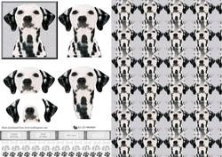 Dalmatian Dog Portrait 3D Decoupage with Background