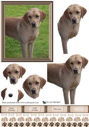 Golden Labrador Scene 3D Decoupage