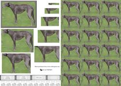 Greyhound Standing Pyramid with Background