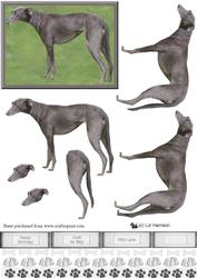 Greyhound Standing 3D Decoupage