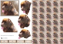 Chocolate Newfoundland Dog 3D Decoupage with Background