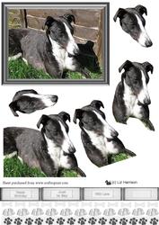 Greyhound Scene 3D Decoupage