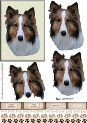 Collie Portrait 3D Decoupage