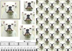 White Boxer Dog Portrait Pyramid with Background